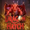 Dragon Hatch slot free