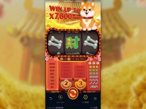 Win Win Won slot apk free downloadͼƬ1