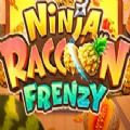 Ninja Raccoon Frenzy Slot Free