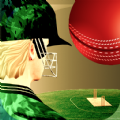 Cricket Fly x Gamifly mod apk