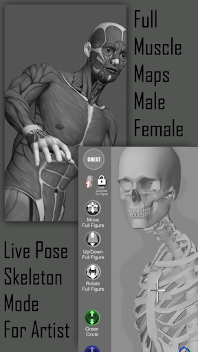 Pose Tool 3D free apk 6.8.180 download full versionͼƬ2