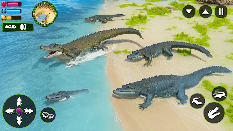 Angry Alligator Attack Sim 3D apk download latest version  v1.0 screenshot 2