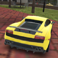 Race Pro Stunt apk download latest version v1.1