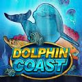 Dolphin Coast slot apk