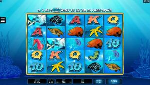 Dolphin Coast slot apk download latest versionͼƬ1