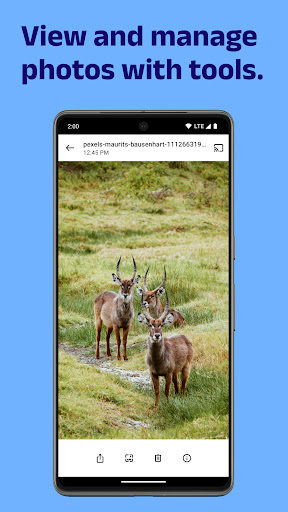 GV Photos Simple Gallery App Free Download for AndroidͼƬ1