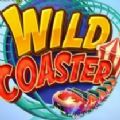 Wild Coaster Slot apk download for android v1.0