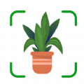 AI Plant Identifier App