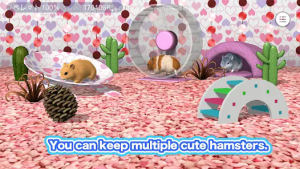 Play with your hamster apk latest version downloadͼƬ1