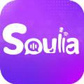 Soulla Voice Chat & Friends Mod Apk Premium Unlocked 1.0.3