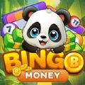 Panda Bingo Mania Super Win apk download latest version 1.0.0